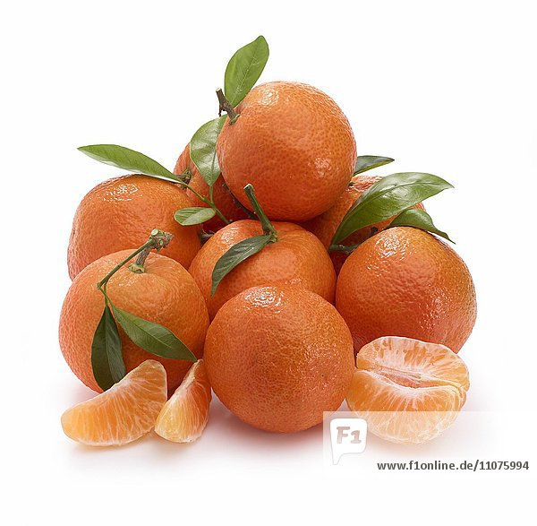 Mandarinen (Citrus reticulata) mit Blättern auf weißem Hintergrund