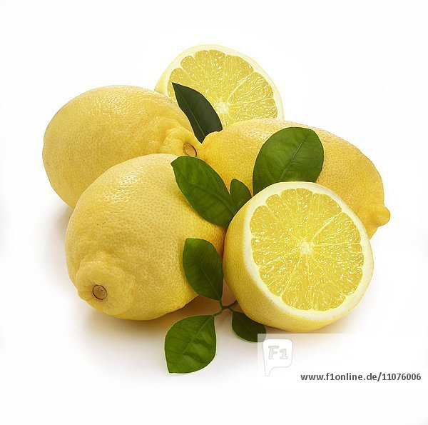 Lemon (Citrus x limon) with leaves  white background
