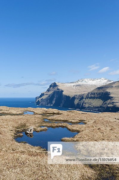 Ausblick auf Meer und Steilküste  Moor mit Moorauge  Eiðiskollur  bei Eiði  Eysturoy  Färöer-Inseln  Føroyar  Dänemark  Europa