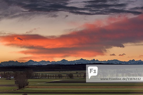 Sonnenaufgang über Landschaft mit Alpenkette  Hartental  Unterallgäu  Bayern  Deutschland  Europa