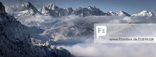 Schloss Neuschwanstein vor verschneiten Bergen  Allgäuer Alpen  Füssen  Allgäu  Bayern  Deutschland  Europa
