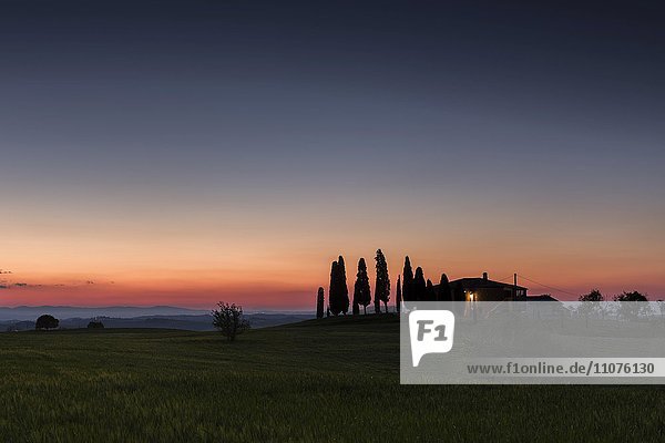 Toskanische Landschaft mit Haus und Zypressen  Sonnenuntergang  San Quirico d'Orcia  Val d'Orcia  Toskana  Italien  Europa