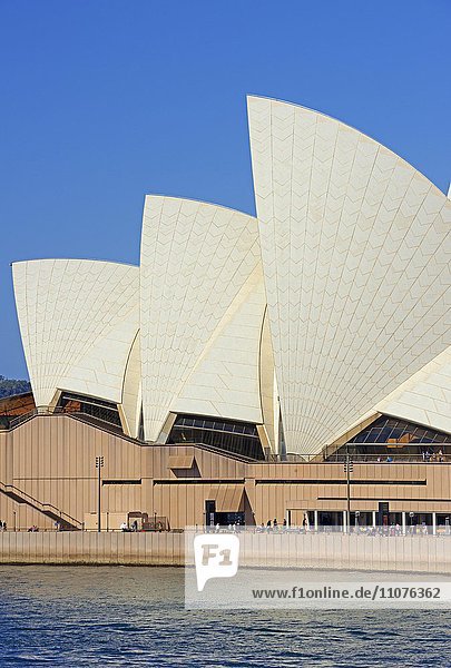 Sydney Opera House  Opernhaus  Oper  Detail  Sydney  New South Wales  Australien  Ozeanien