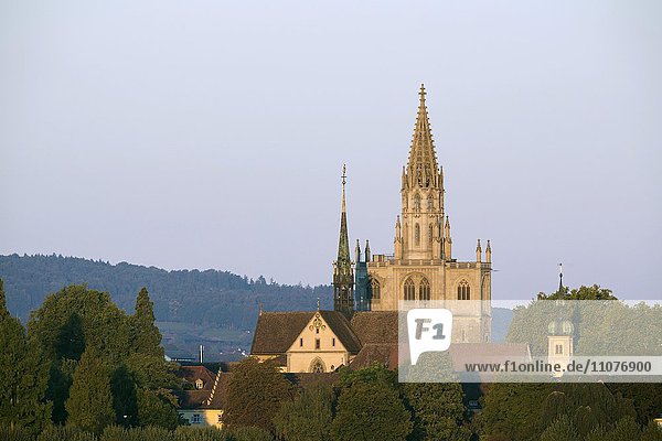 Münster  Konstanz  Baden-Württemberg  Deutschland  Europa