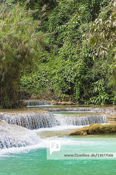 Kleine Wasserfälle  Kaskaden  Tat Kuang Si Wasserfälle  Louang Prabang  Louangphabang  Laos  Asien