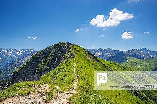 Wanderweg vom Söllereck zum Fellhorn  2038m  Allgäuer Alpen  Bayern  Deutschland  Europa