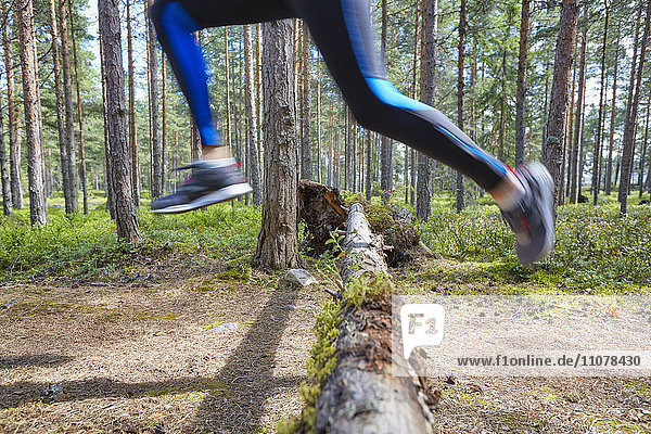 Läufer springt über gefallenen Baumstamm auf Waldweg