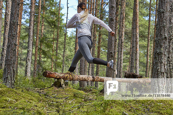 Läufer springt über gefallenen Baumstamm im Wald