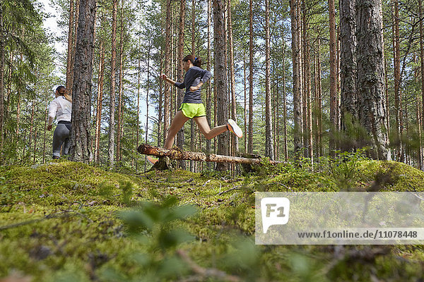 Läufer springt über gefallenen Baumstamm im Wald