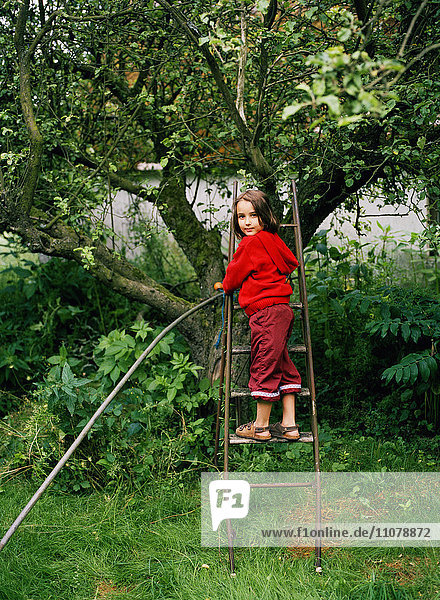 Mädchen steht auf einer Leiter neben einem Apfelbaum im Garten