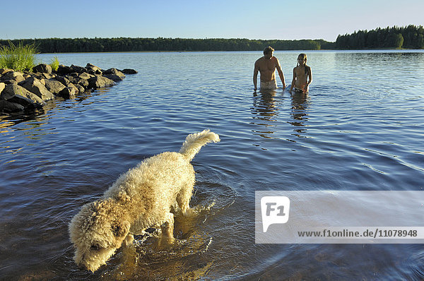 Ehepaar mit Hund watet im See