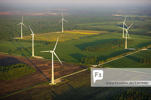Wind turbines in field