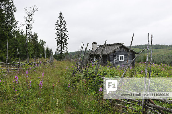 Kleine Holzhütte am Waldrand