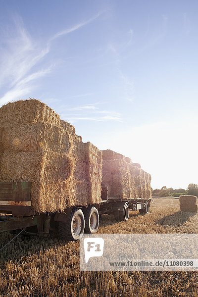 Straw bales on truck in field