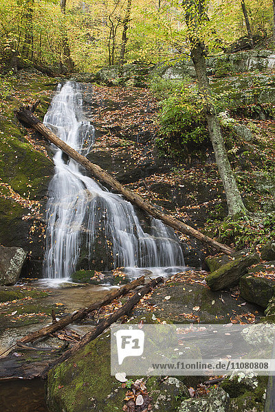 Landschaftlicher Blick auf einen Wasserfall im Wald
