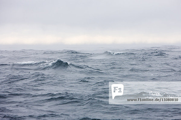 Wellen auf dem Atlantischen Ozean