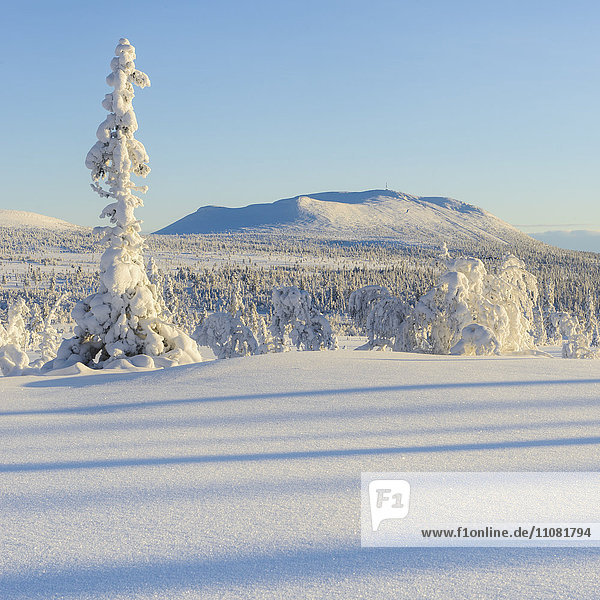 Scenic winter landscape