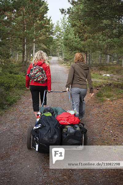 Zwei Frauen  die Gepäck auf einem Wagen ziehen  Rückansicht