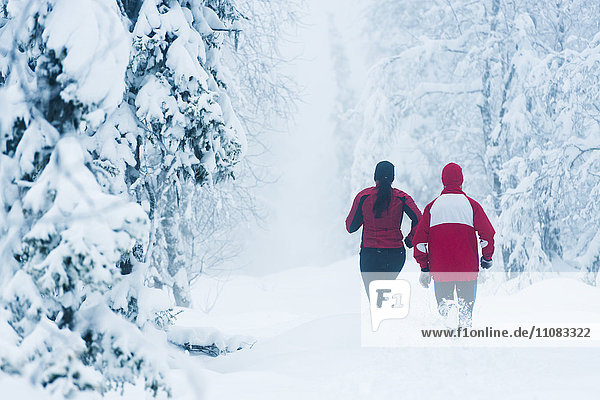 Zwei Läufer laufen durch den Wald  Schweden