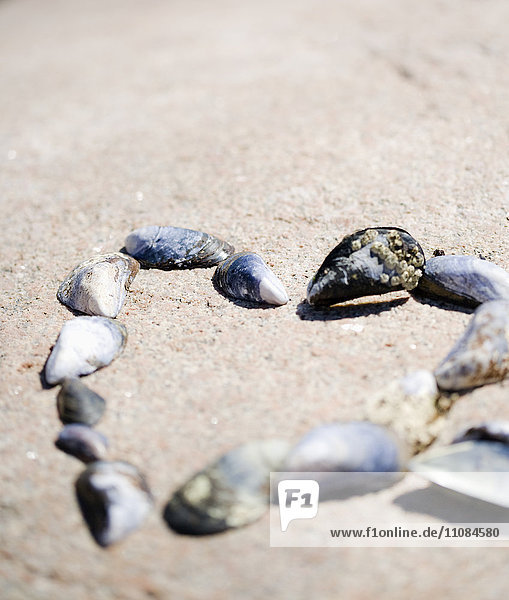 Muscheln in Form eines Herzens auf Sand