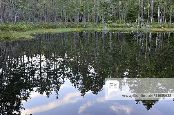 Tiveden  Reflection of trees in lake