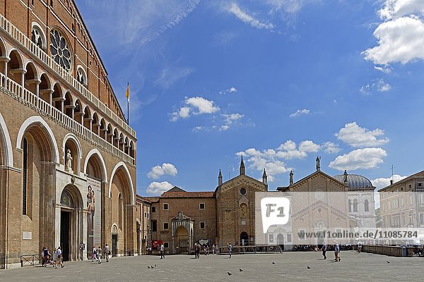 Basilica di Sant Antonio und Oratorio di San Giorgio  Padua  Venetien  Italien  Europa