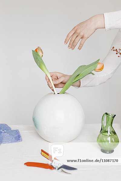 Abgeschnittenes Bild einer erwachsenen Frau  die Blumen in einer Vase auf dem Tisch arrangiert.