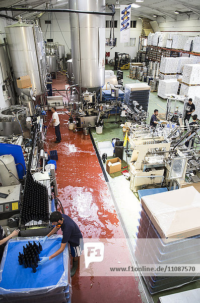 Men working in a beer factory
