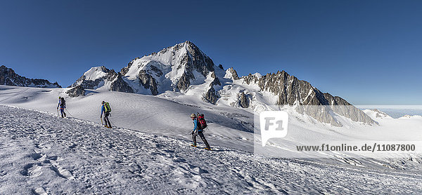 France  Chamonix  Mountaineers at the Aiguille du Chardonnet