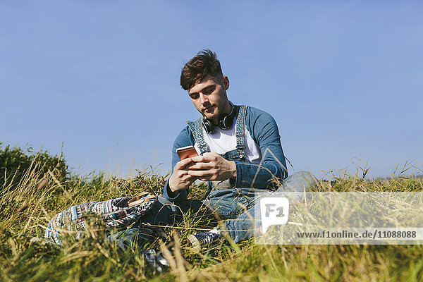 Young man sitting on a meadow using cell phone