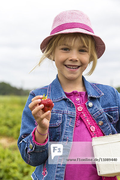 Porträt eines glücklichen kleinen Mädchens mit Box und Erdbeere auf einem Erdbeerfeld