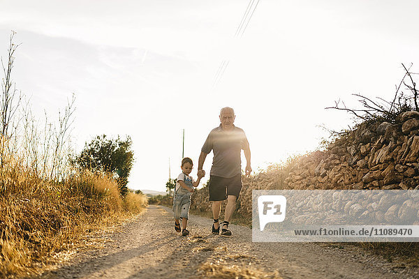 Der kleine Junge und sein Urgroßvater laufen im Gegenlicht auf einem Feldweg.