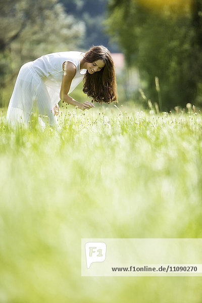 Happy woman wearing white summer dress picking flowers on a meadow