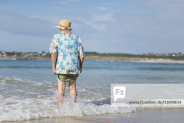 Back view of senior woman at seashore