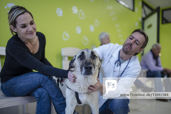 Tierarzt und Frau beruhigender Hund