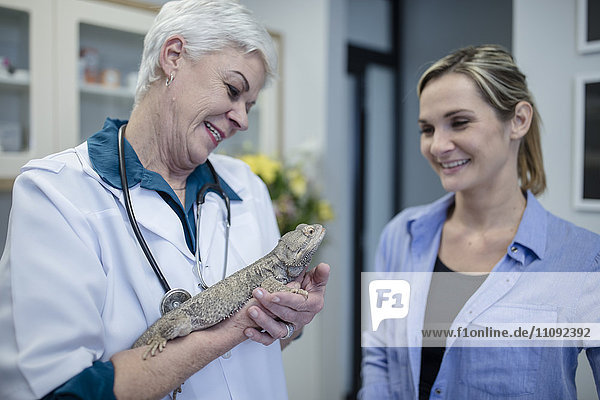 Lächelnder Tierarzt mit Bartagame