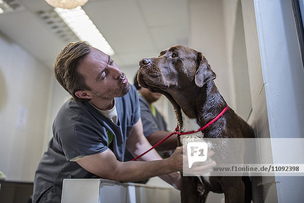 Tierarzt mit braunem Hund