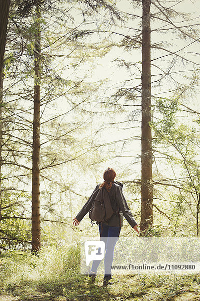 Woman with backpack looking up at trees in sunny woods