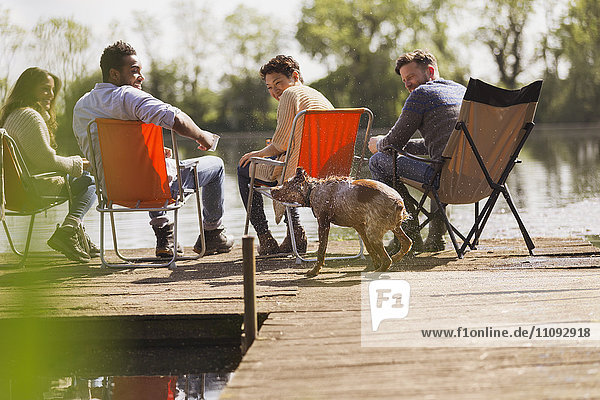 Freunde und Hund am sonnigen Ufer des Sees