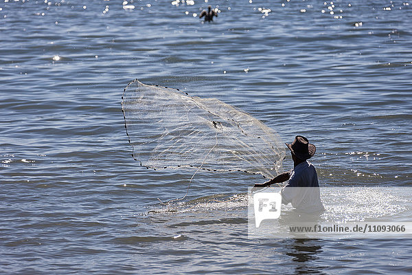 Fisherman spreading fishing net for catching fish in sea  Samara  Costa Rica