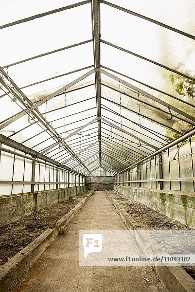 Interior of abandoned greenhouse Munich Bavaria Germany