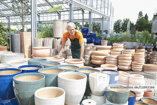 Männlicher Gärtner beim Arrangieren von Keramiktöpfen im Gewächshaus  Augsburg  Bayern  Deutschland