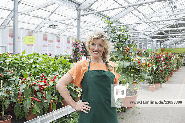 Portrait of female shop assistant holding tomato plant in garden centre  Augsburg  Bavaria  Germany