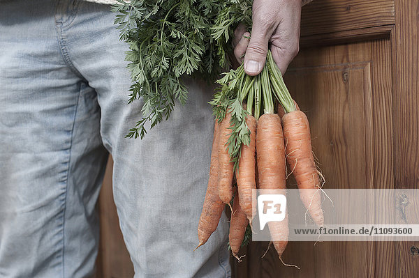 Mittelteil eines Mannes  der ein Bündel Karotten in der Hand hält  vor einem Naturkostladen