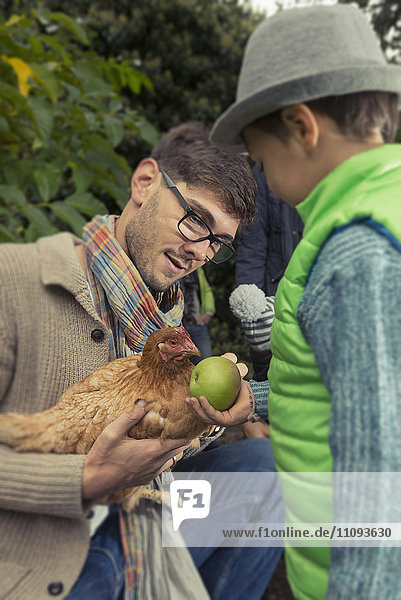 Vater hält ein Huhn und Sohn füttert Apfel