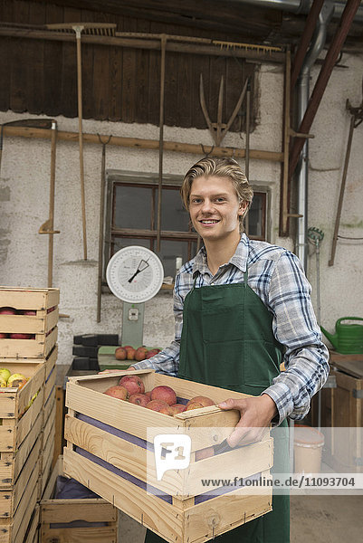 Porträt eines jugendlichen Arbeiters  der eine Obstkiste hält