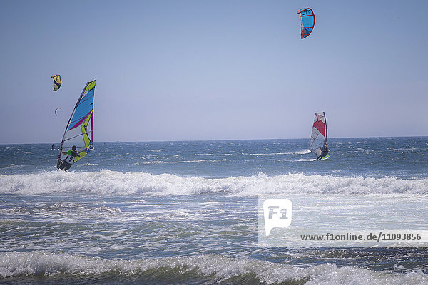 Kite surfers surfing kiteboarding in the sea