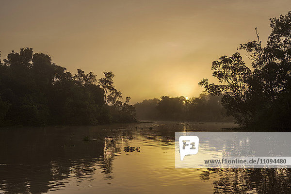Blick auf den Sonnenaufgang über dem Fluss Orinoco  Orinoco-Delta  Venezuela