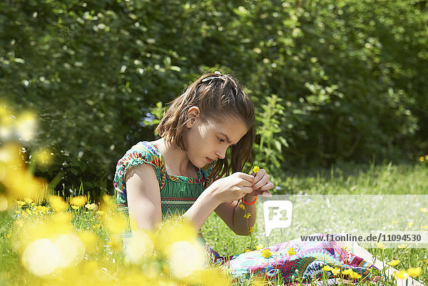 Mädchen macht Blumenkranz im Park,  München,  Bayern,  Deutschland