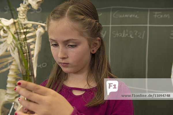 Nahaufnahme einer Schülerin  die ein Reagenzglas mit Kräutern im Klassenzimmer hält  Fürstenfeldbruck  Bayern  Deutschland
